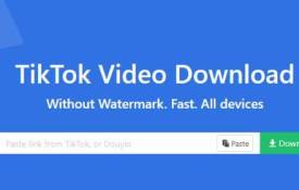 Eventual Tool For Watermark-Free HD TikTok Downloads Video In HD Format